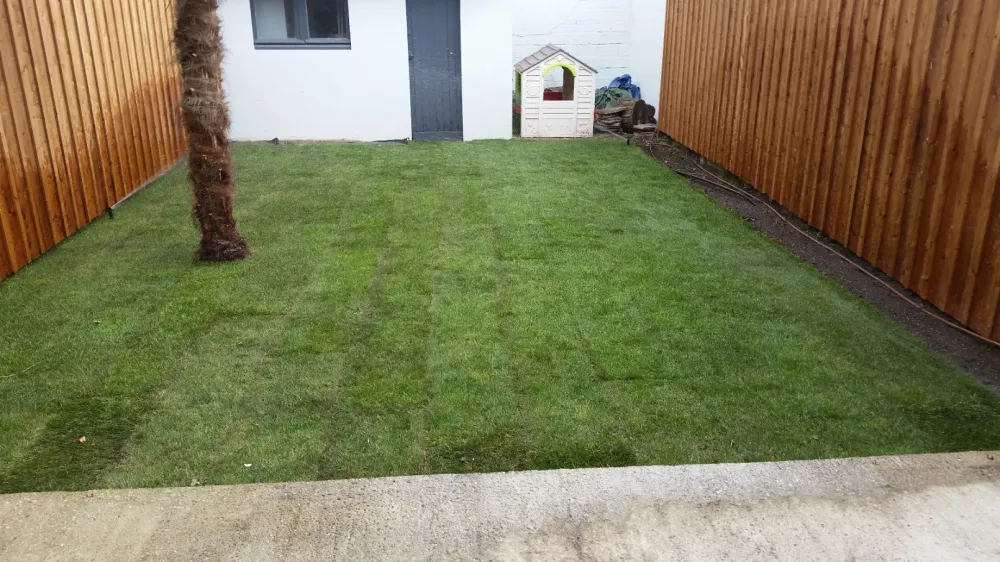 arrosage et  gazon en plaque