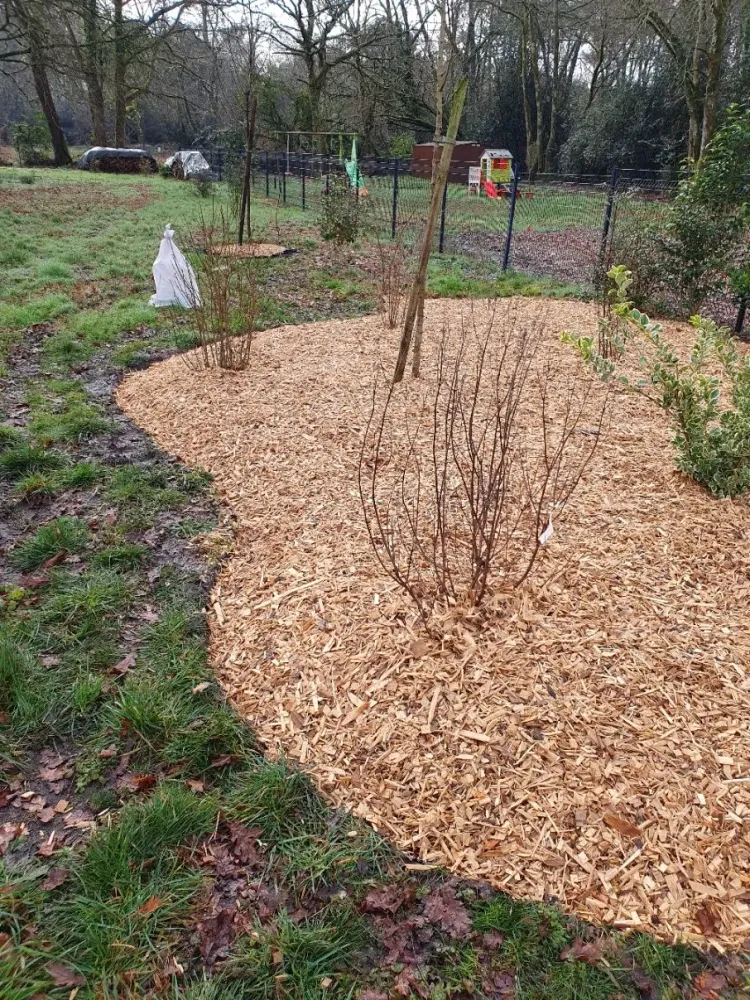 création massif + copeaux de boiswebp