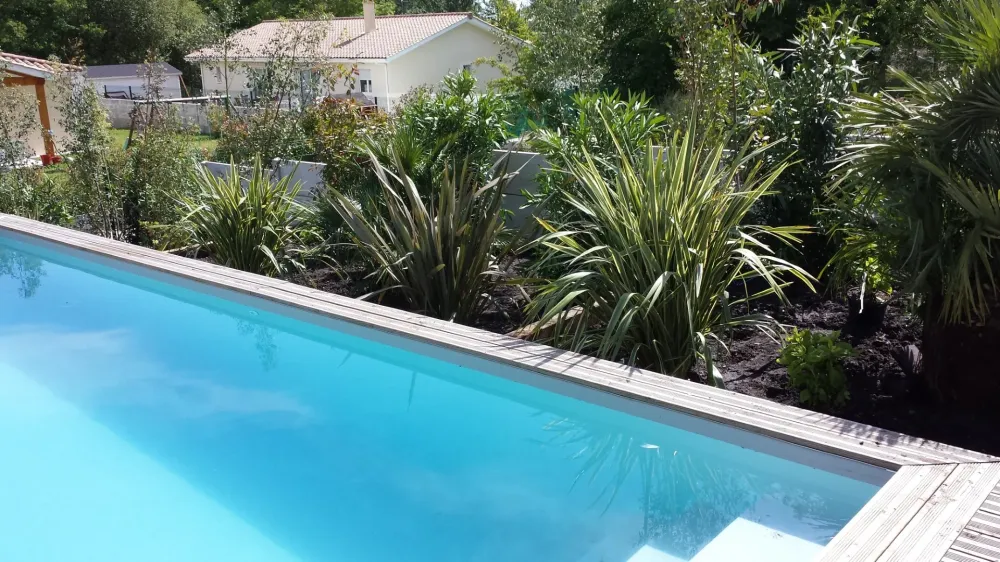 création massif paysager (3)webp