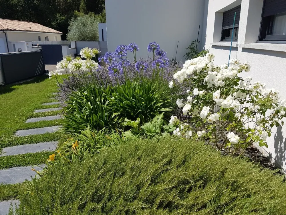 création massif paysagerwebp