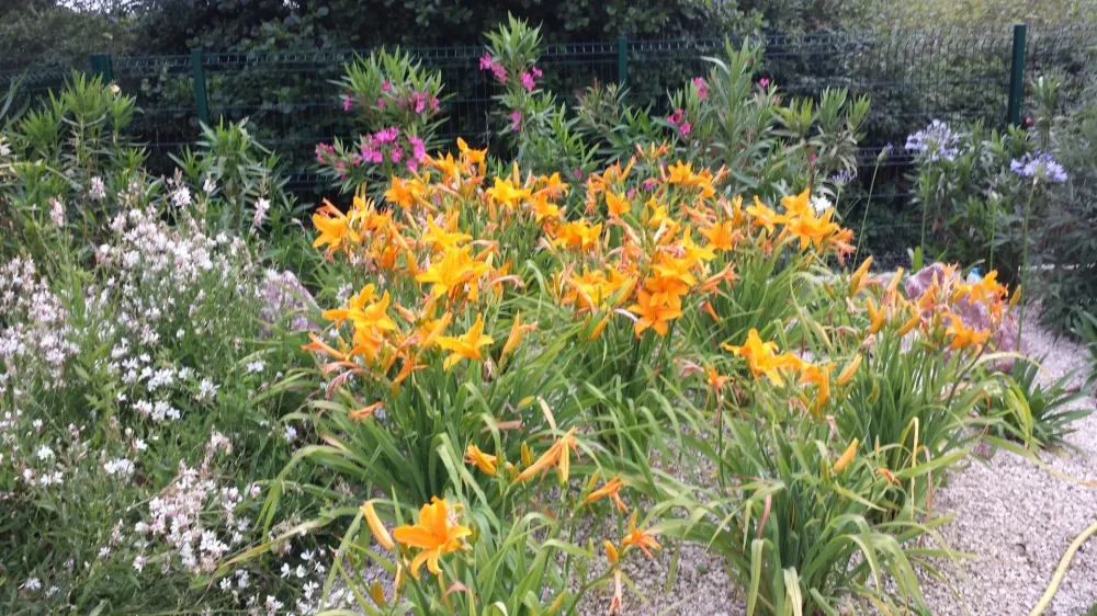 creation massif paysager3