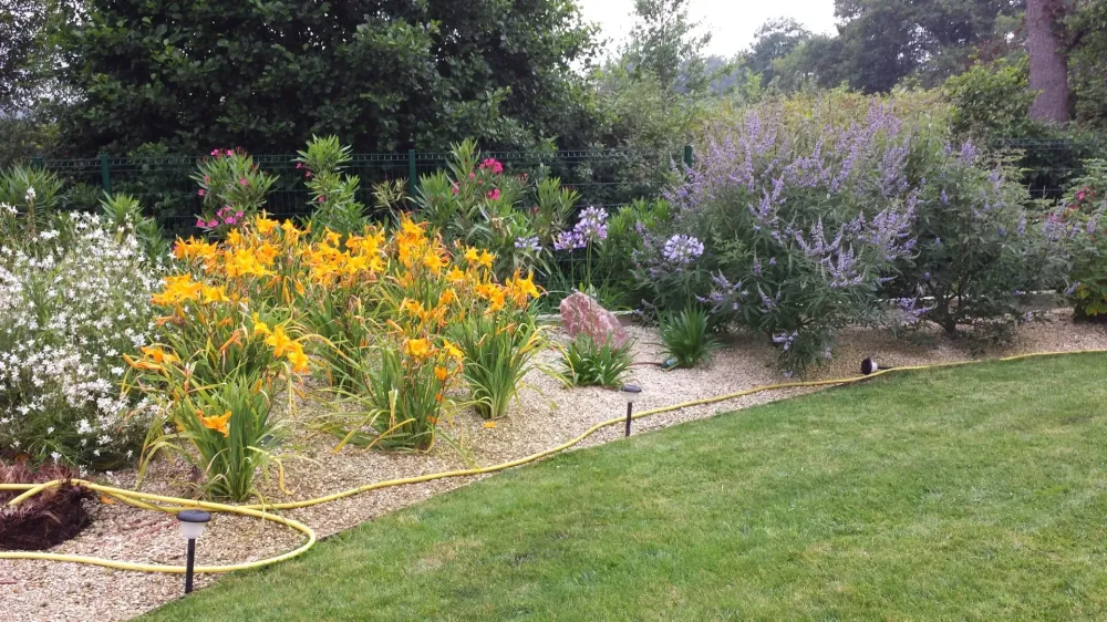 creation massif paysagers4